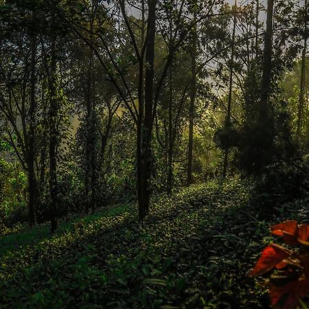 Southern Panorama Indriya Resorts & Spa Munnar Exteriör bild