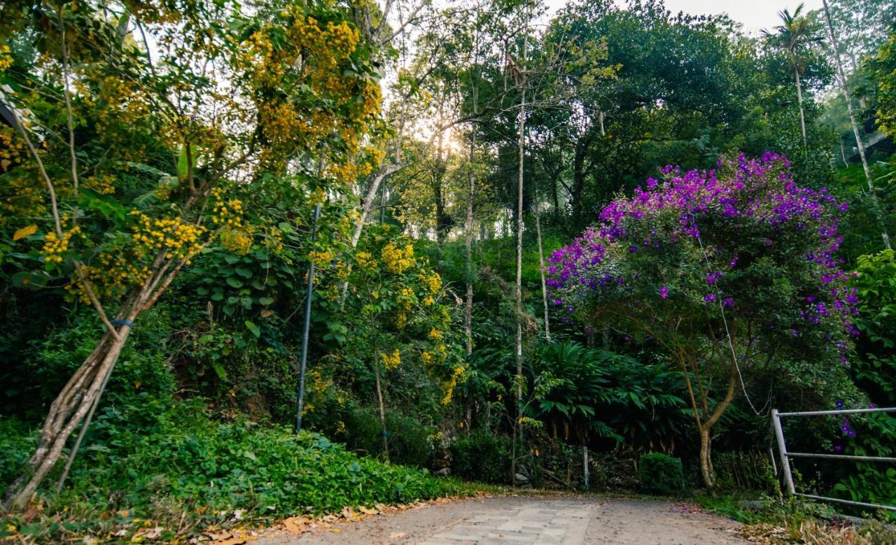 Southern Panorama Indriya Resorts & Spa Munnar Exteriör bild