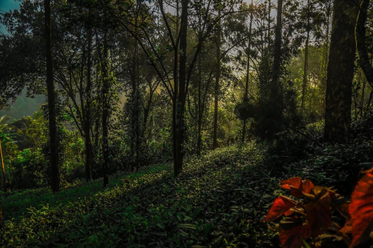 Southern Panorama Indriya Resorts & Spa Munnar Exteriör bild